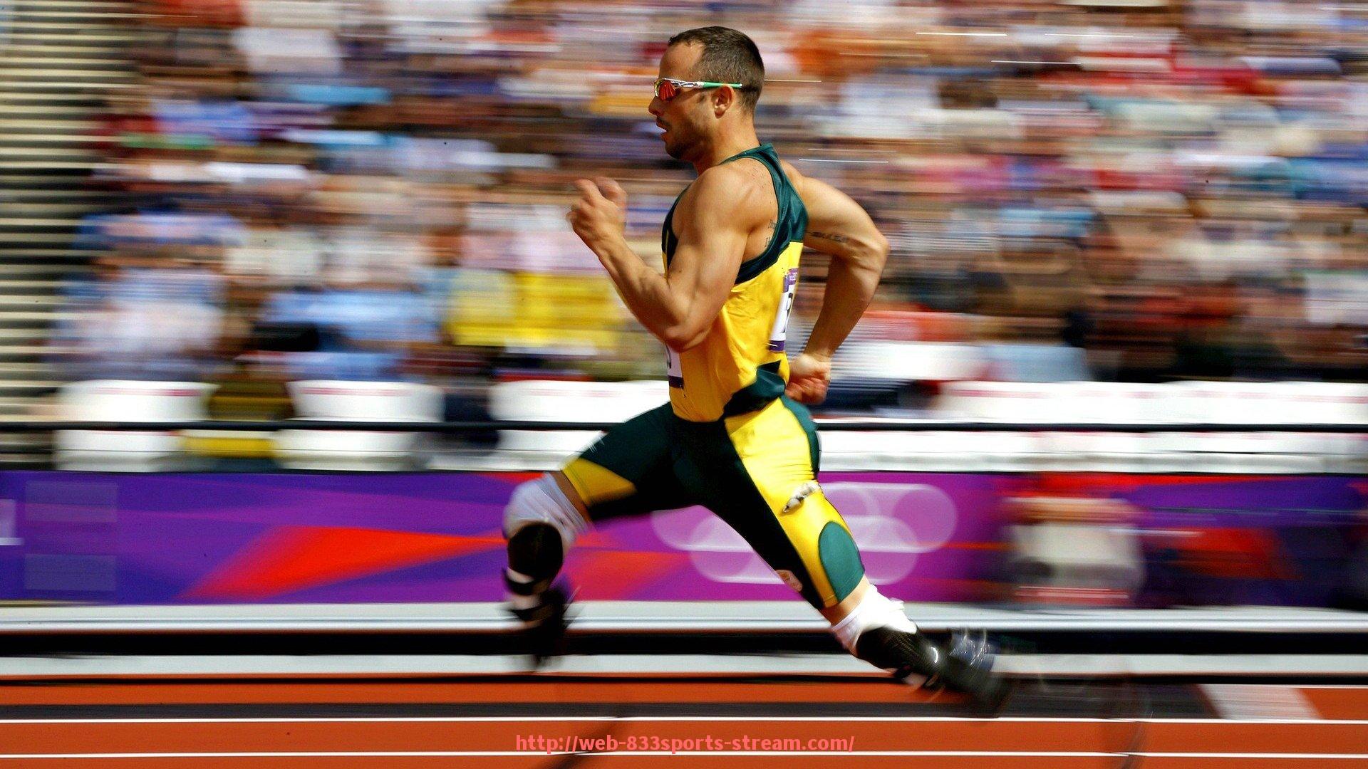 833体育直播-健身器材排行榜及品牌分析：最新的健身器材市场排行与品牌解读